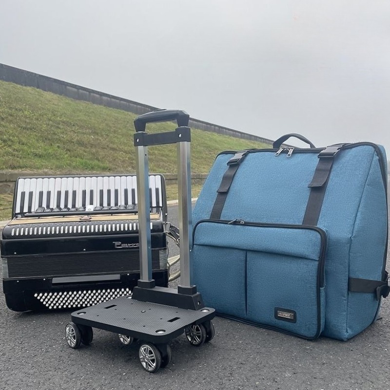 Bolsa de Acordeón Reforzada 60 - Musical Instrument Bass reseña y precio