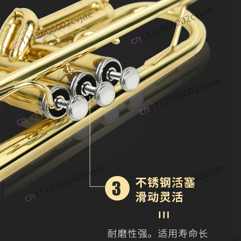 Trompeta Jinbao JBTR-300 en Si - Musical Instrument Band reseña y precio